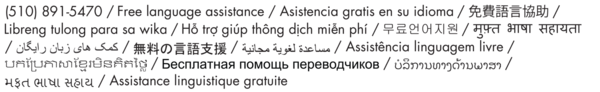 Free Language Assistance
