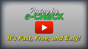 Play e-check video