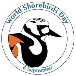World Shorebirds Day