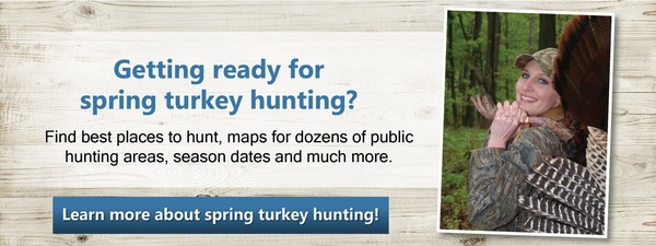 link to DNR turkey hunting page