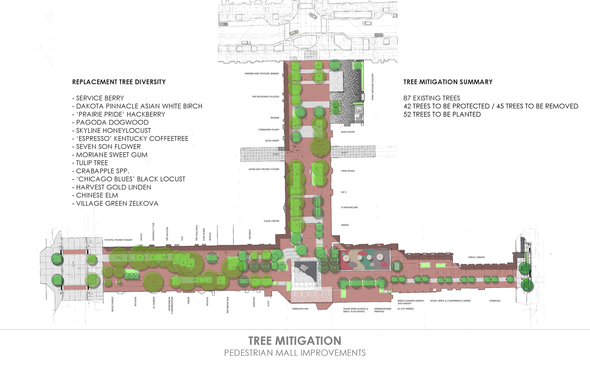 Tree Mitigation diagram. 