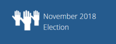 November 2018 election