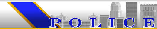Metro Police Header