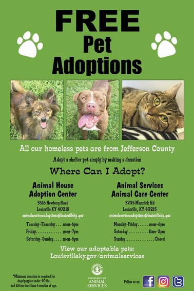 pet adoption