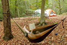 Photo of reader in hammock in front of tents