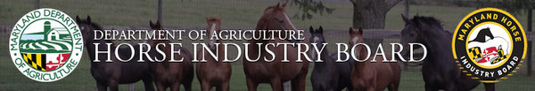 Horse Industry Board
