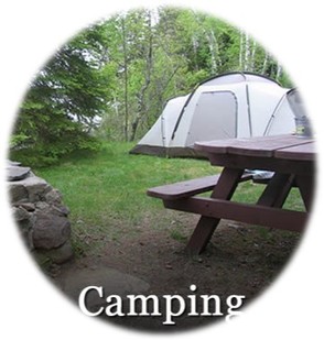 State park campsite showing view behind stone grill, wooden picnic table toward dome tent with forest in background.