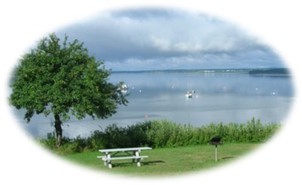 campsite at Lamoine State Park looking out over picnic table and grill to ocean.