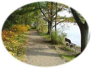 Mackworth Island trail showing tree-lined path, ocean view, and bench.