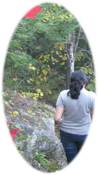 hiker on trail with autumn foliage of yellow, green, and red.