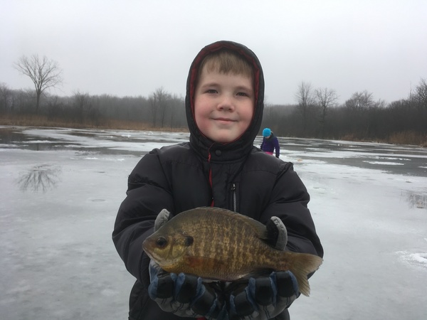Young boy holding up bluegill caught while ice fishing