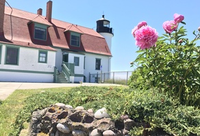 Flowers and lighthouse image on Great Lakes coast