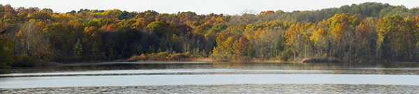 lake with wooded shoreline