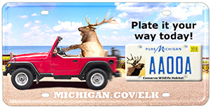 elk license plate with elk driving Jeep