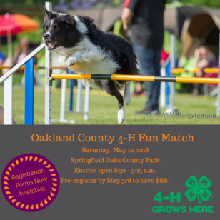 Oakland County 4-H Fun Match 