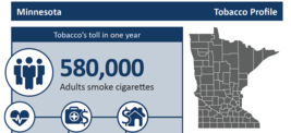 tobacco use profiles in MN