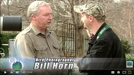 Bill Horn