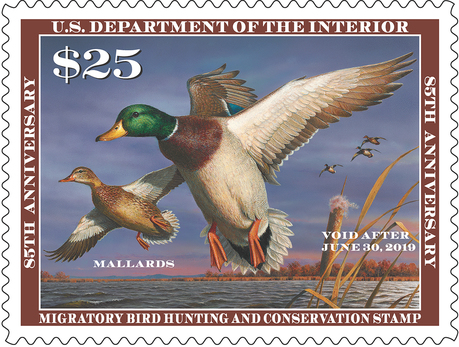 Federal Duck Stamp 2018