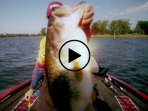 Your Fishing Dollars video link