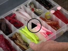 Tackle box of plastic worms