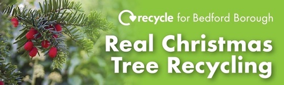 Christmas Tree recycling
