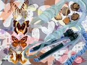 Curiosity Shop - looking with older eyes