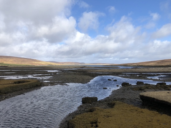 Dury Voe sampling site in Shetland 