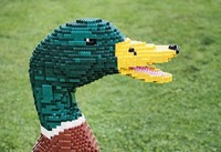 lego_duck