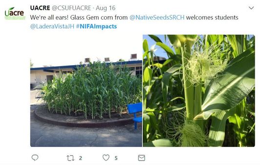 UACRE NIFAImpacts Fresh from the Field