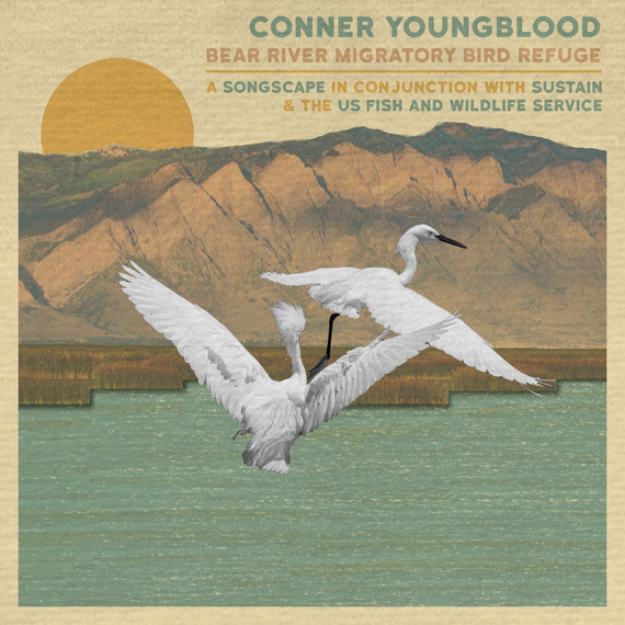 Cover art for Conner Youngblood song inspired by Bear River Migratory Bird Refuge. Image: Sustain Music & Nature