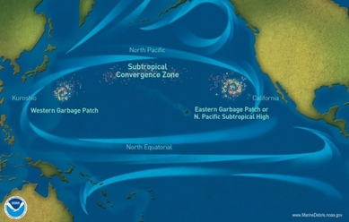 Garbage Patch Map