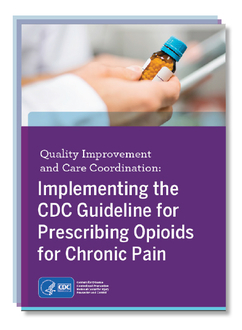 Cover for 'Quality Improvement and Care Coordination: Implementing the CDC Guideline for Prescribing Opioids for Chronic Pain'