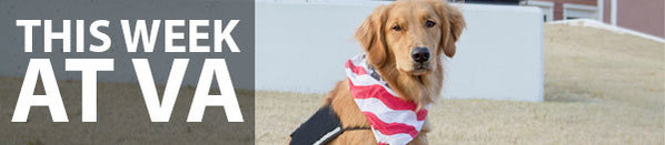 Oklahoma VA gets service dog
