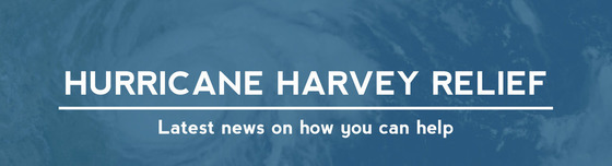 Hurricane Relief Drive