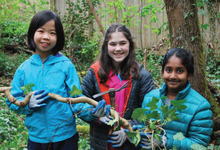 Three young girl volunteers