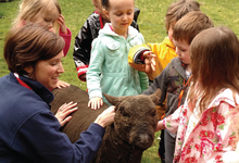 Kids petting sheep