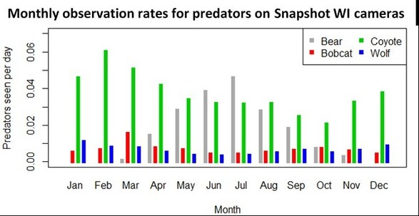 Predator Activity
