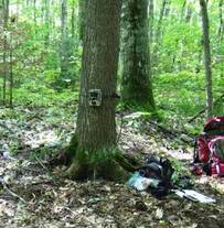 Trail Camera
