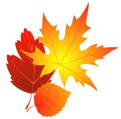Cartoon image of fall leaves