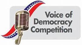 Voice of Democracy logo